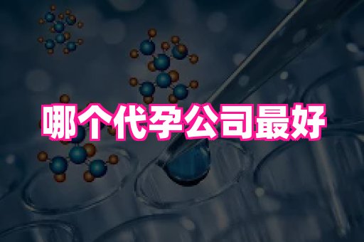 国际助孕网站 2
