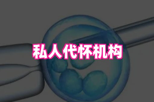 国际助孕网站 4